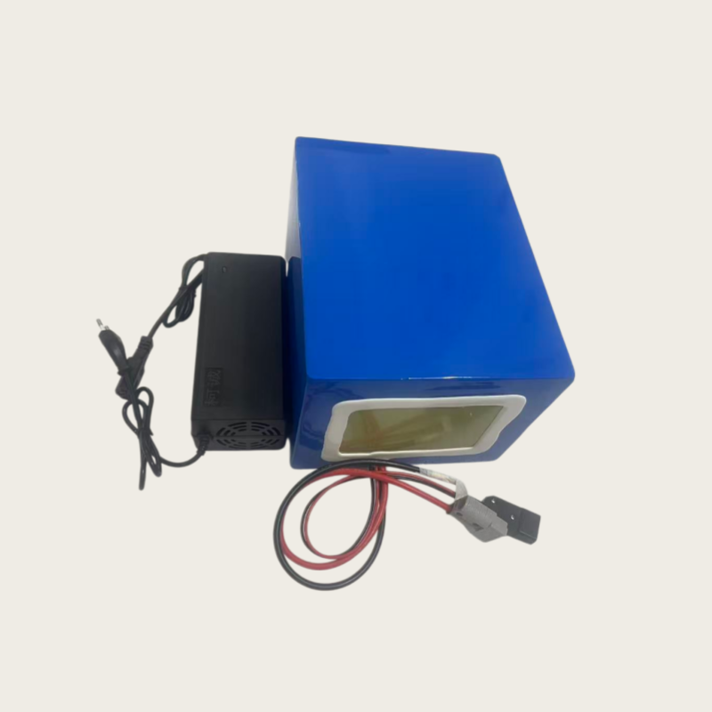 Lithium 72V 60Ah LiFePO4-Akkup – 72V 60Ah Lifepo4 Battery Pack Bewertung und Preis